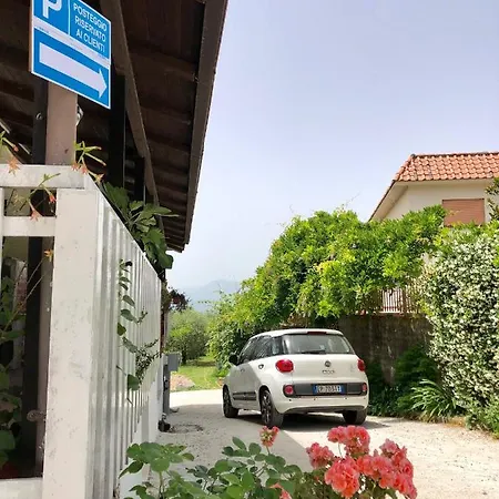 Bed & Breakfast Le Palme Cassino