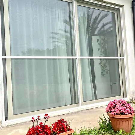 Bed & Breakfast Le Palme
