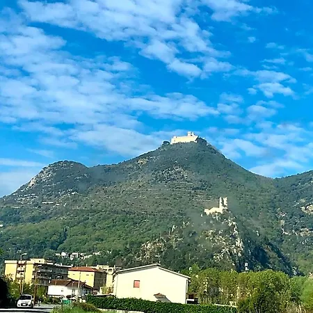 Le Palme Cassino